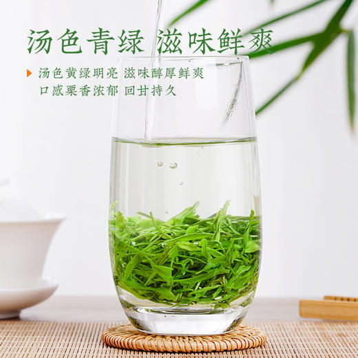 【2026年新茶预售】茶马世家丨恩施玉露 湖北绿茶 蒸青绿茶 一级 100g 袋装  2026年新茶，新茶预计4月15日发货 商品图2
