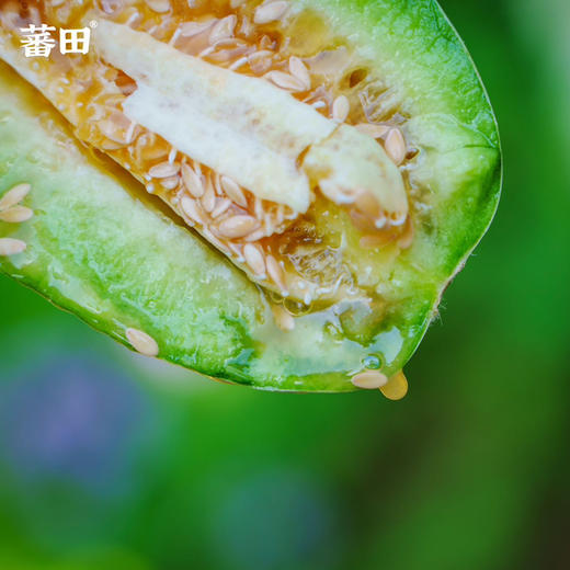 【博洋蜜瓜】蕃田 博洋72号蜜瓜，脆甜口感，连瓤带瓜一起吃，口感清脆瓜香浓郁！ 商品图5