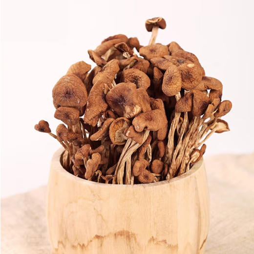 散称干茶树菇【约500g】 商品图2