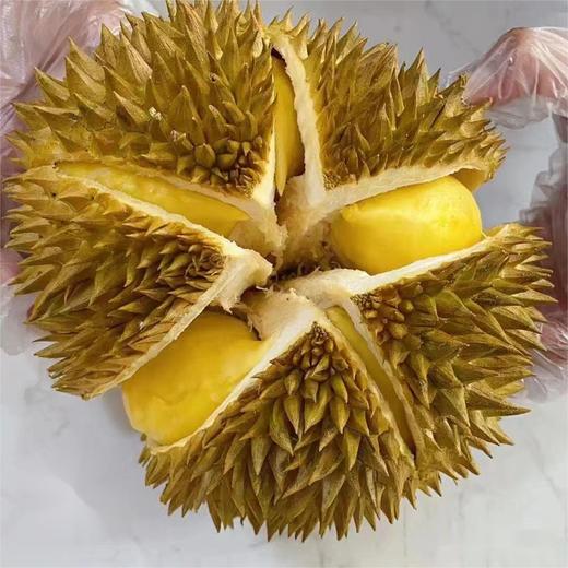 泰国金枕巴掌榴莲 |进口水果 商品图2