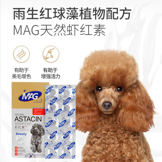 MAG狗狗虾红素黑鼻头海藻粉金毛泰迪幼犬增色 商品图3