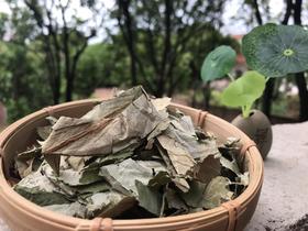 荷叶干品 紫苏叶干品 双面紫苏叶 生晒 日晒