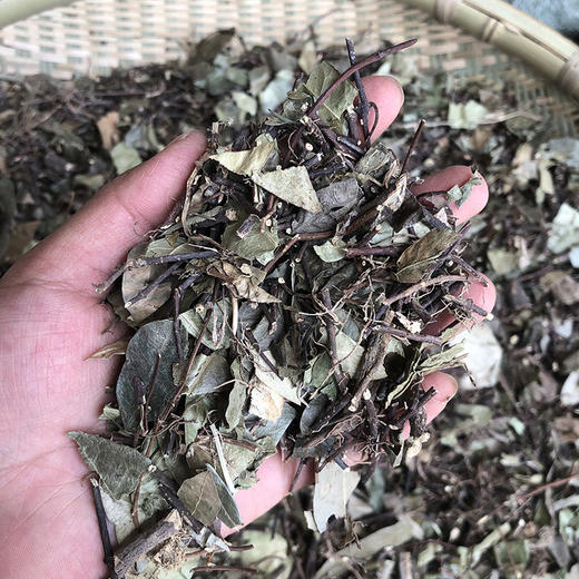 络石藤 商品图2