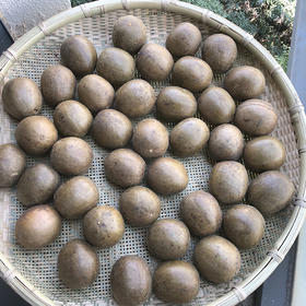 罗汉果一个  冻干 独立包装