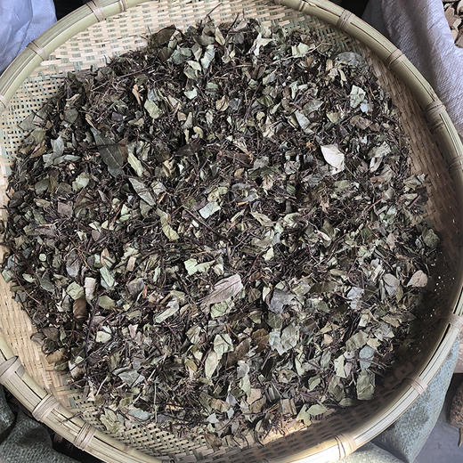 络石藤 商品图0