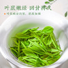 【2026年新茶预售】茶马世家丨恩施玉露 湖北绿茶 蒸青绿茶 一级 100g 袋装  2026年新茶，新茶预计4月15日发货 商品缩略图3