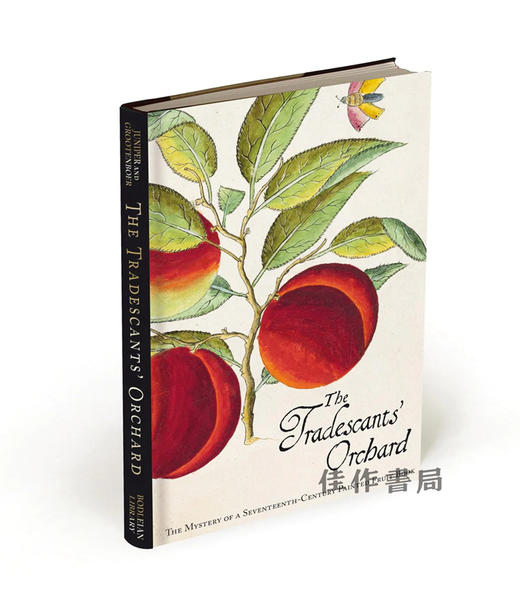 The Tradescants' Orchard: The Mystery of a Seventeenth-Century Painted Fruit Book / 商人的果园：17世纪彩绘水果书的 商品图0