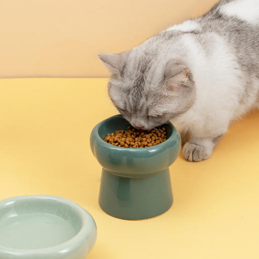 【宠物用品】-陶瓷猫碗高脚保护颈椎猫粮碗猫咪狗猫盆饮水碗 商品图3