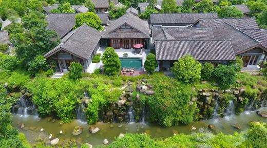 森林圆圈日｜《101人生策略升级》 商品图1