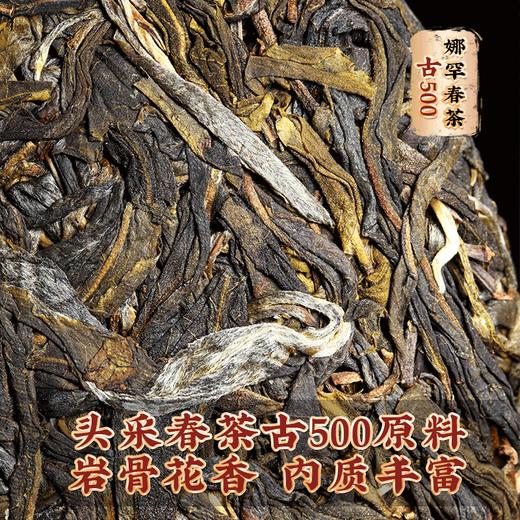 吉顺号2023头春茶古500娜罕古树普洱茶生饼357g 商品图3