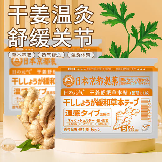 【应季好物】日本京都制药舒缓草本贴2包 薄荷/干姜 商品图3