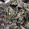 卷柏 九死还魂草 商品缩略图1