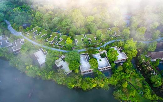 森林圆圈日｜《第三层花园》·（榜样订制版 · 云浮） 商品图4