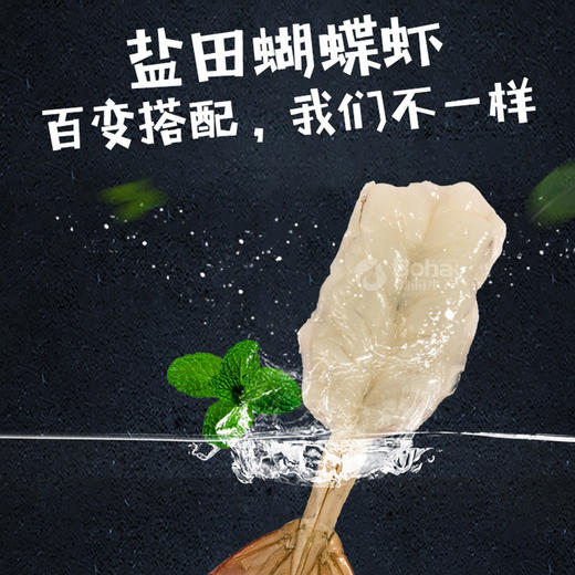 有机盐田虾 带头生虾 开背蝴蝶虾 商品图9