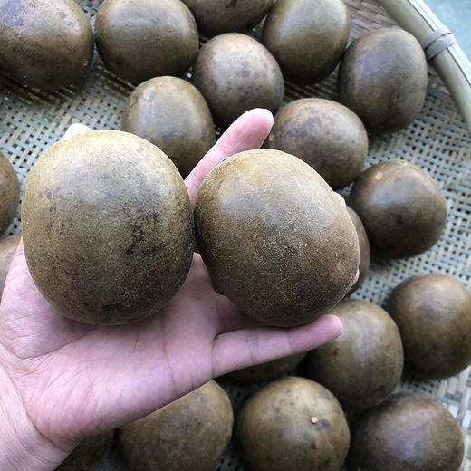 罗汉果一个  冻干 独立包装 商品图3