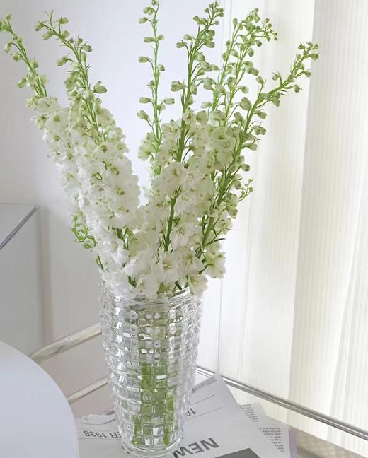 【现货】肯尼亚大飞燕-白色  5支/扎   约90公分 商品图0