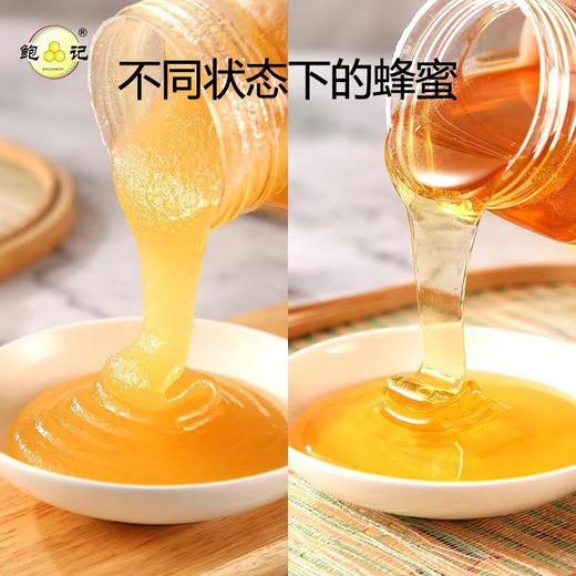 【挖到宝了！鲍记液态土蜂蜜】送礼深山农家自产瓶装中蜂蜂蜜抖音爆款七夕情人节健康特价清仓 商品图2