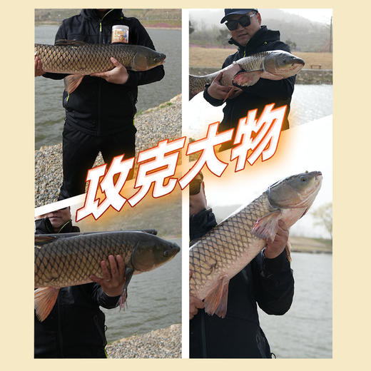 汉鼎鱼饵巨物颗粒窝料钓饵皮筋饵料打窝野钓黑坑鲤鱼鲫鱼鲢鳙饵料 商品图4