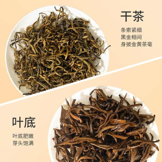 祥源茶云南凤庆滇红金芽特级红茶蜜香红茶金芽茶叶罐装80g 商品图2
