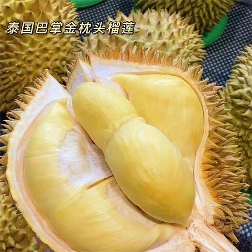泰国金枕巴掌榴莲 |进口水果 商品图0