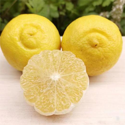 黄金贡柚 |水果 商品图0