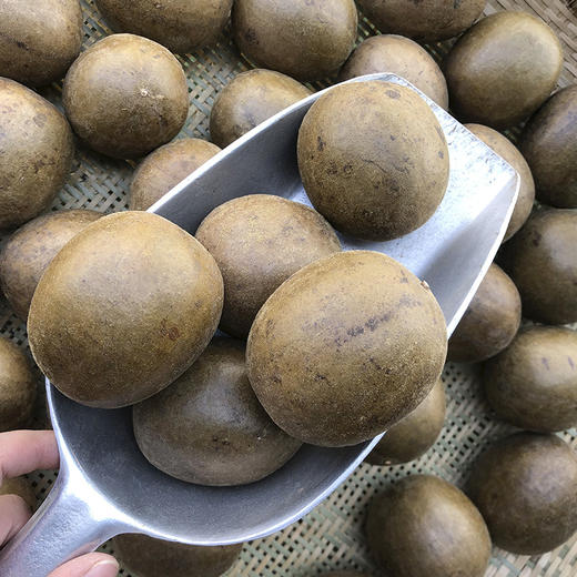 罗汉果一个  冻干 独立包装 商品图4