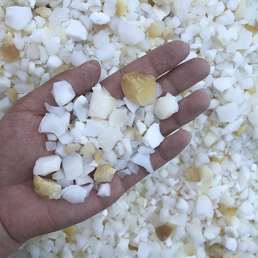 天竺黄 商品图3