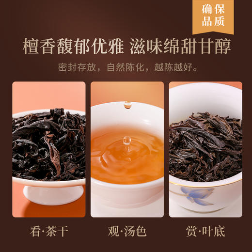 魏氏茶 茶香瓷韵·魏氏陈 商品图3