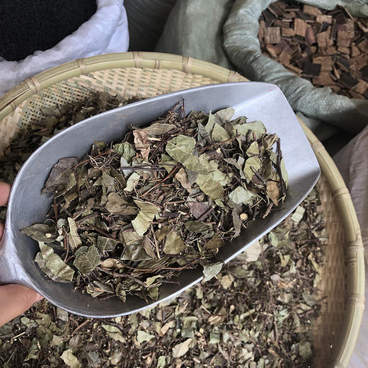 络石藤 商品图4