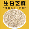 散称白芝麻【约500g】 商品缩略图0