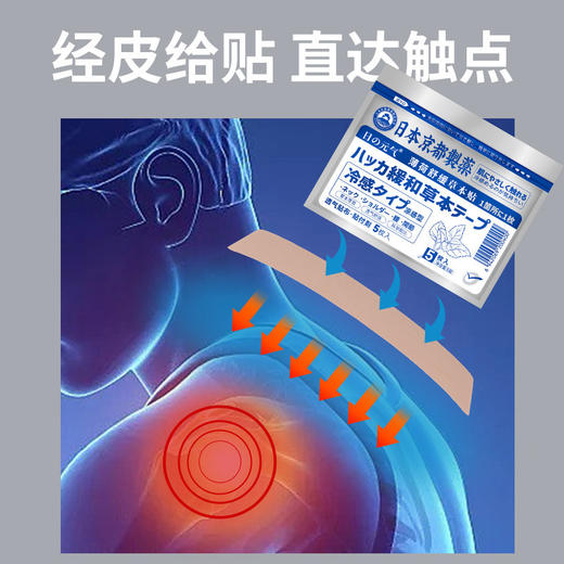 【应季好物】日本京都制药舒缓草本贴2包 薄荷/干姜 商品图1