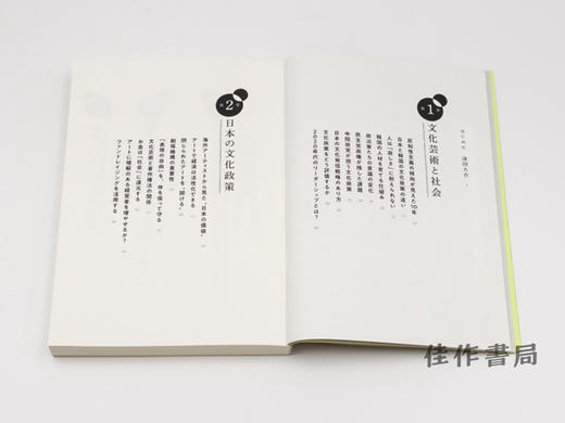 ニッポンの芸術のゆくえ なぜ、アートは分断を生むのか？ / 日本艺术的方向啊，艺术会产生分裂吗？ 商品图2