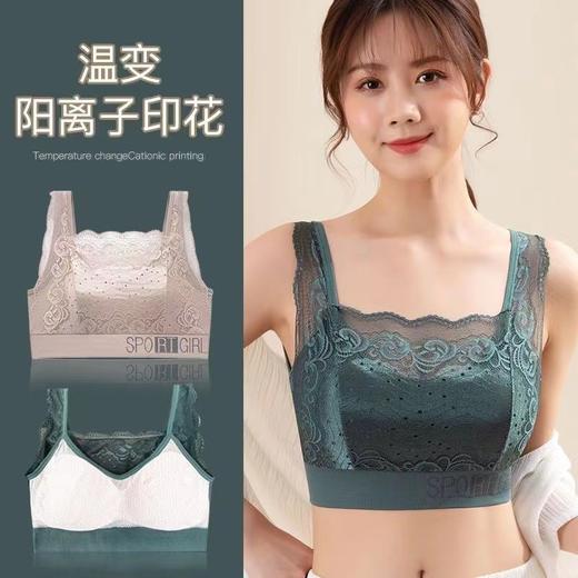 NY-688 蕾丝性感美背心少女无痕无钢圈文胸女士内衣聚拢防下垂运动抹胸罩 商品图1