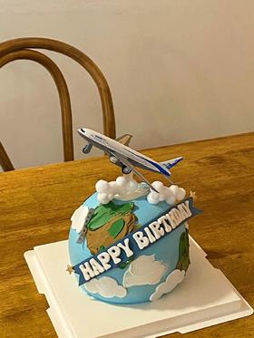 地球飞机系列 （提前24小时预订）