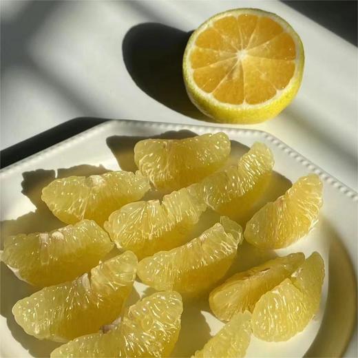 黄金贡柚 |水果 商品图1