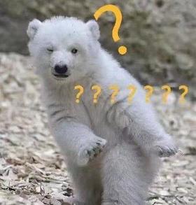 从网红直播转向做企业自播有希望吗？