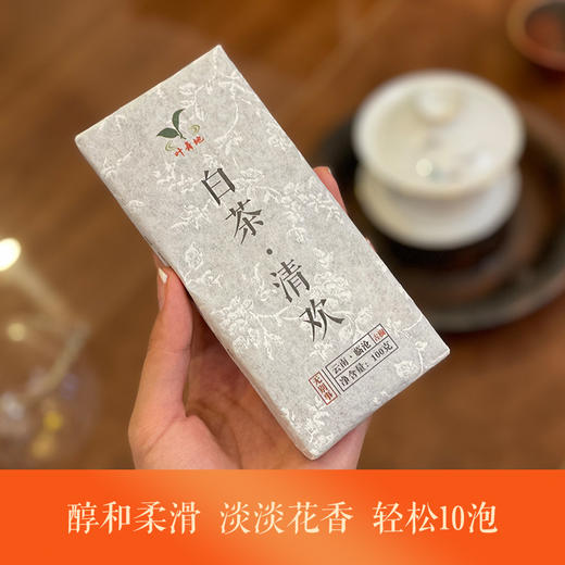 云南白茶 |  2021年叶舞地古树白茶 清欢100g 商品图0