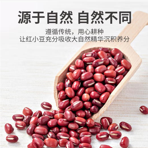 散称红豆【约500g】 商品图0