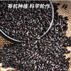 散称黑米【约500g】 商品缩略图1