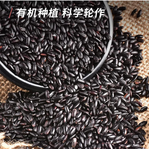 散称黑米【约500g】 商品图1