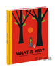 What is Red? / 红是什么？ 商品缩略图1