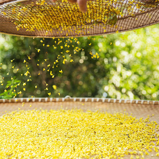 【桂花龙井】MISSTANG御唐 手工桂花龙井100g 商品图1