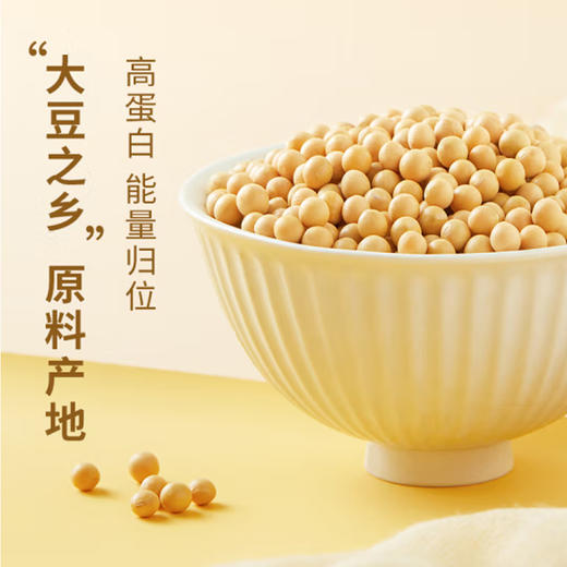 散称黄豆【约500g】 商品图1