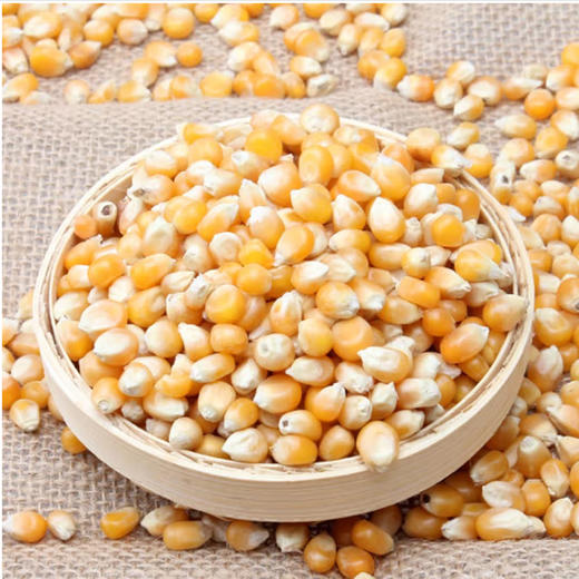 散称爆玉米【约500g】 商品图0
