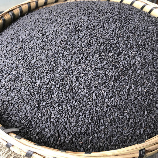 黑芝麻 商品图1