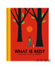 What is Red? / 红是什么？ 商品缩略图0