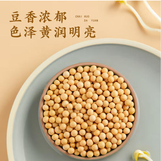 散称黄豆【约500g】 商品图2