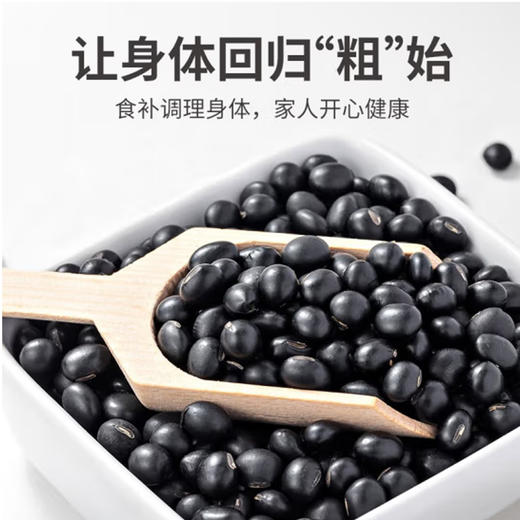 散称黑豆【约500g】 商品图0