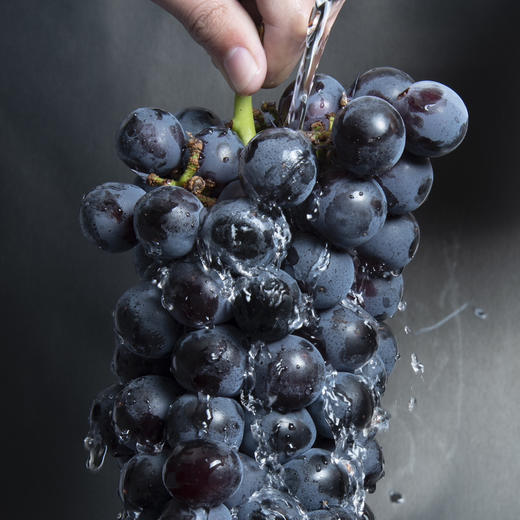 炫黑夏黑葡萄 Q弹爆汁 顺丰包邮 现摘现发 商品图2