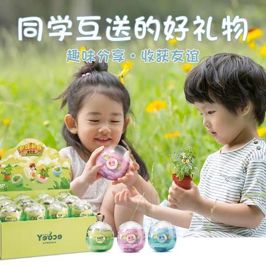 趣味栽培扭扭蛋 单个 商品图0